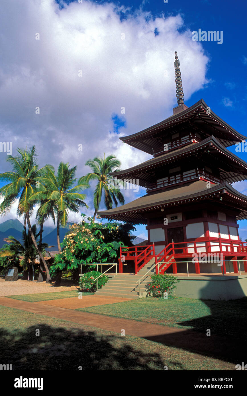 Pomeriggio di luce sul santuario buddista presso la missione di Jodo Lahaina Maui Hawaii Foto Stock