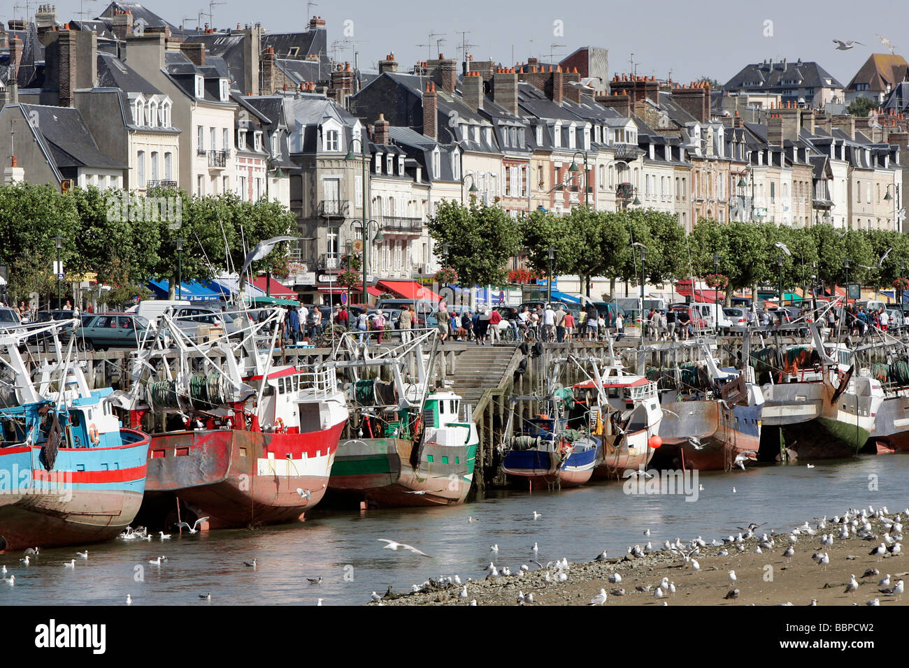 Barca e gabbiani, il Porto di Trouville-sur-Mer, Calvados (14), in Normandia, Francia Foto Stock