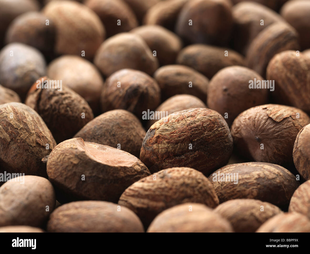 Un gruppo di noci di karité Foto Stock