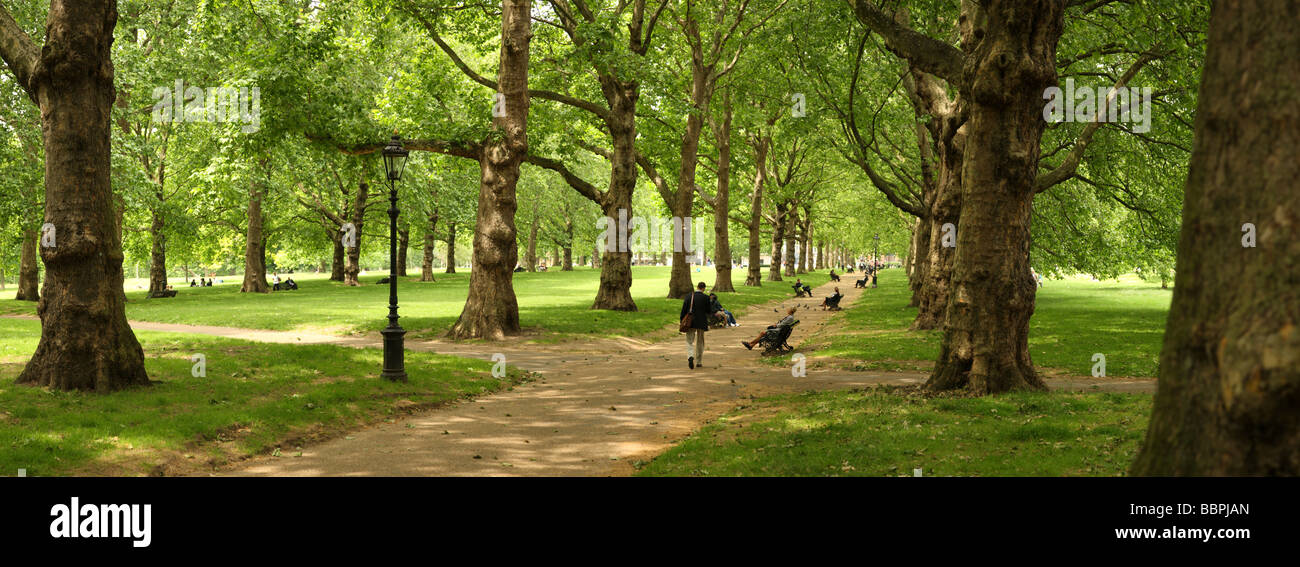 Green Park, Londra, Inghilterra Foto Stock