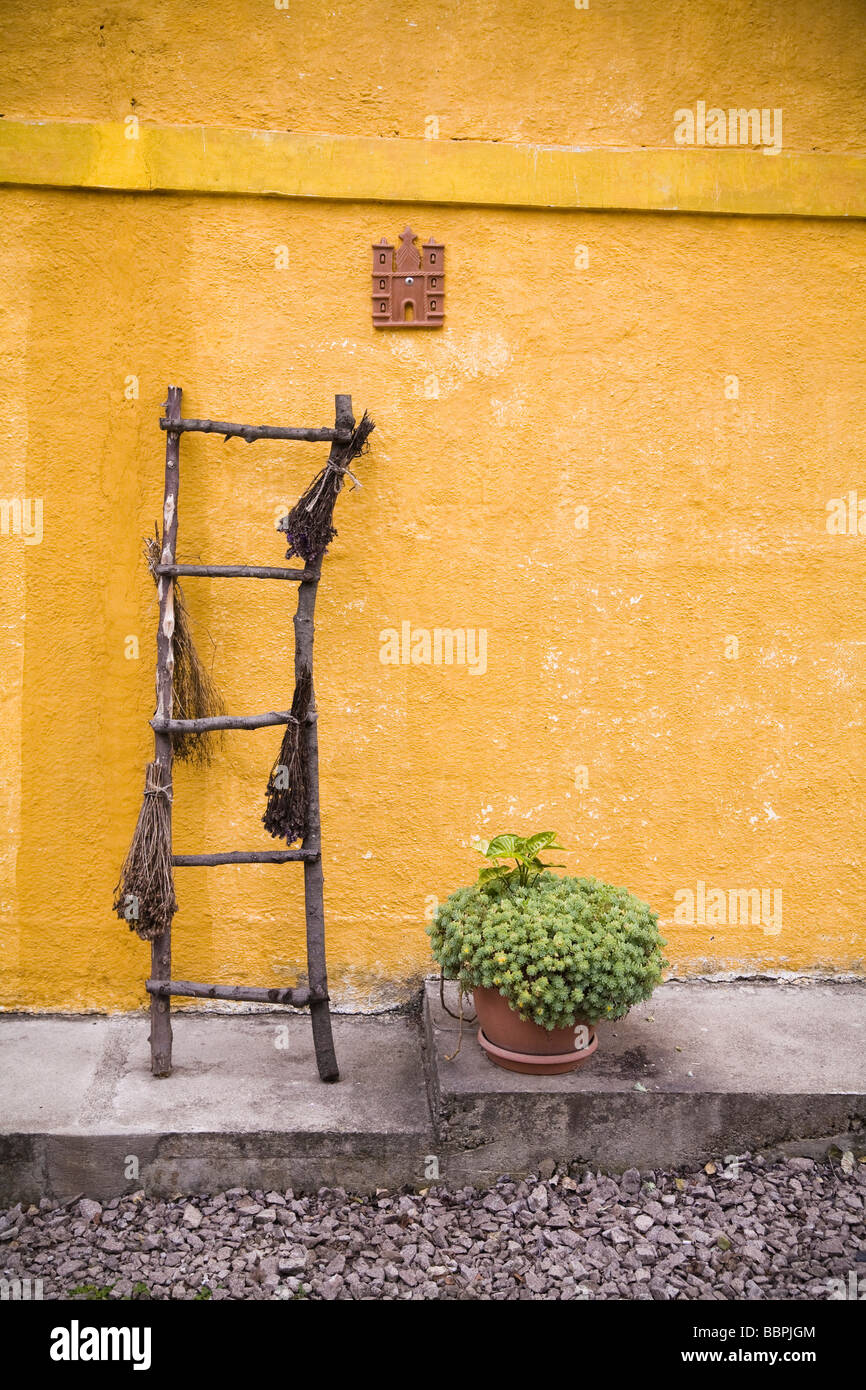 Guatemala;pianta in vaso vicino ad una scala appoggiata contro una parete di colore giallo, Foto Stock