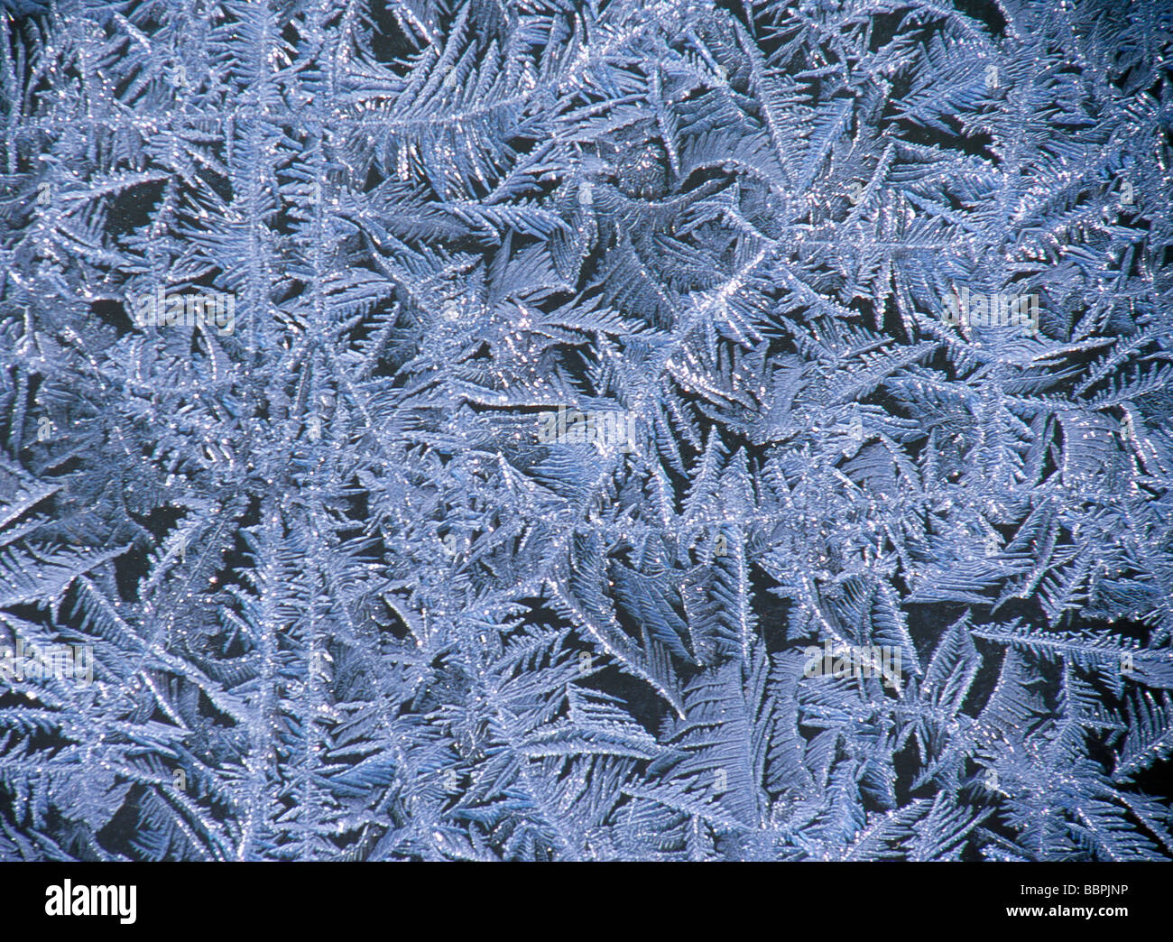 Chiusura del gelo invernale sulla finestra Foto Stock