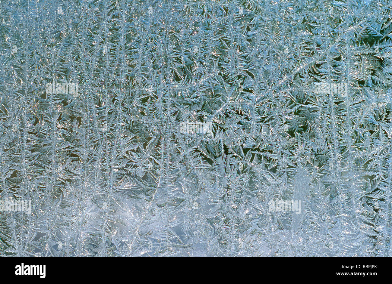 Chiusura del gelo invernale sulla finestra Foto Stock