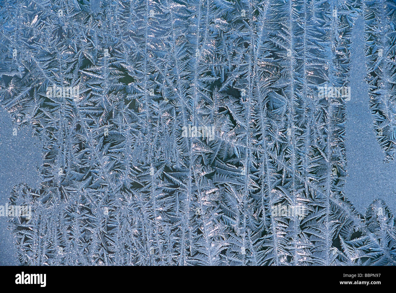 Chiusura del gelo invernale sulla finestra Foto Stock