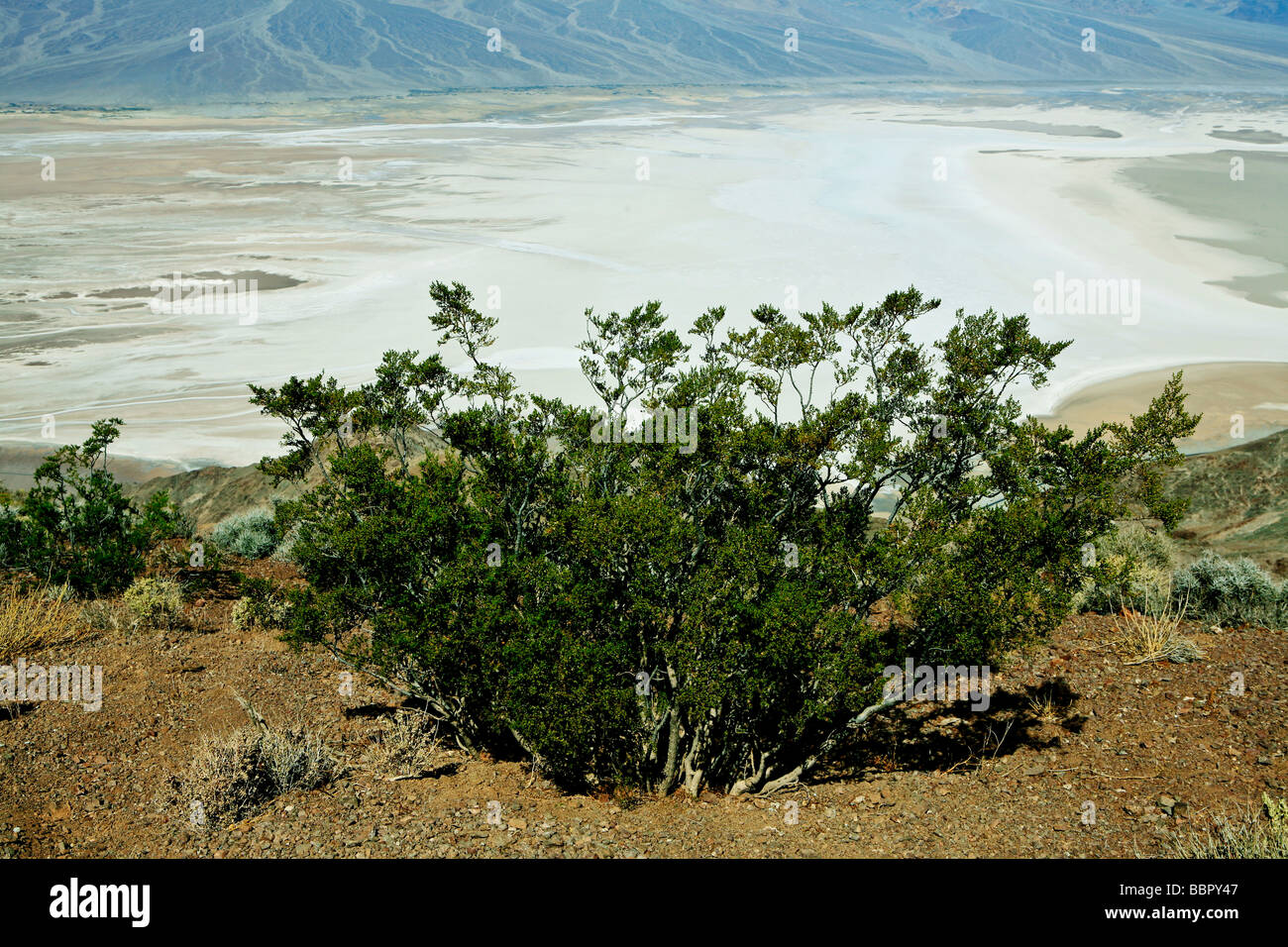 Death Valley, California, Stati Uniti d'America Foto Stock