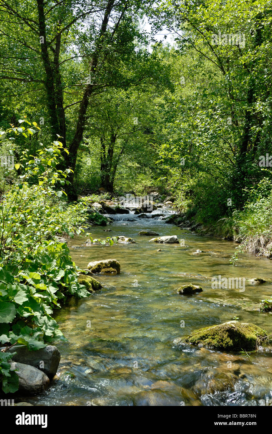 Toscana (Toscana) Italia - torrente Sterza (Sterza stream) nord affluente del fiume Cecina Foto Stock