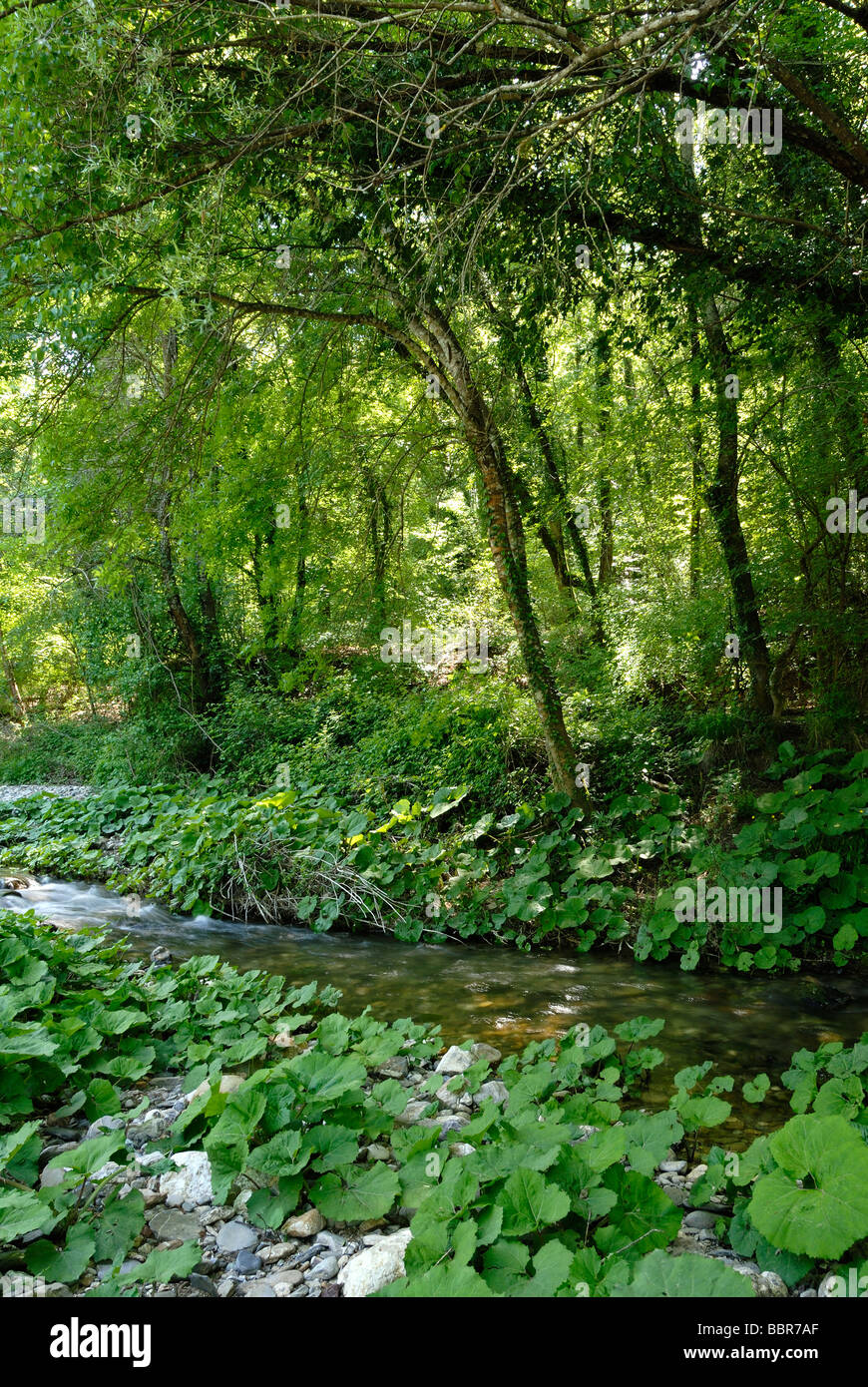 Toscana (Toscana) Italia - torrente Sterza (Sterza stream) nord affluente del fiume Cecina Foto Stock