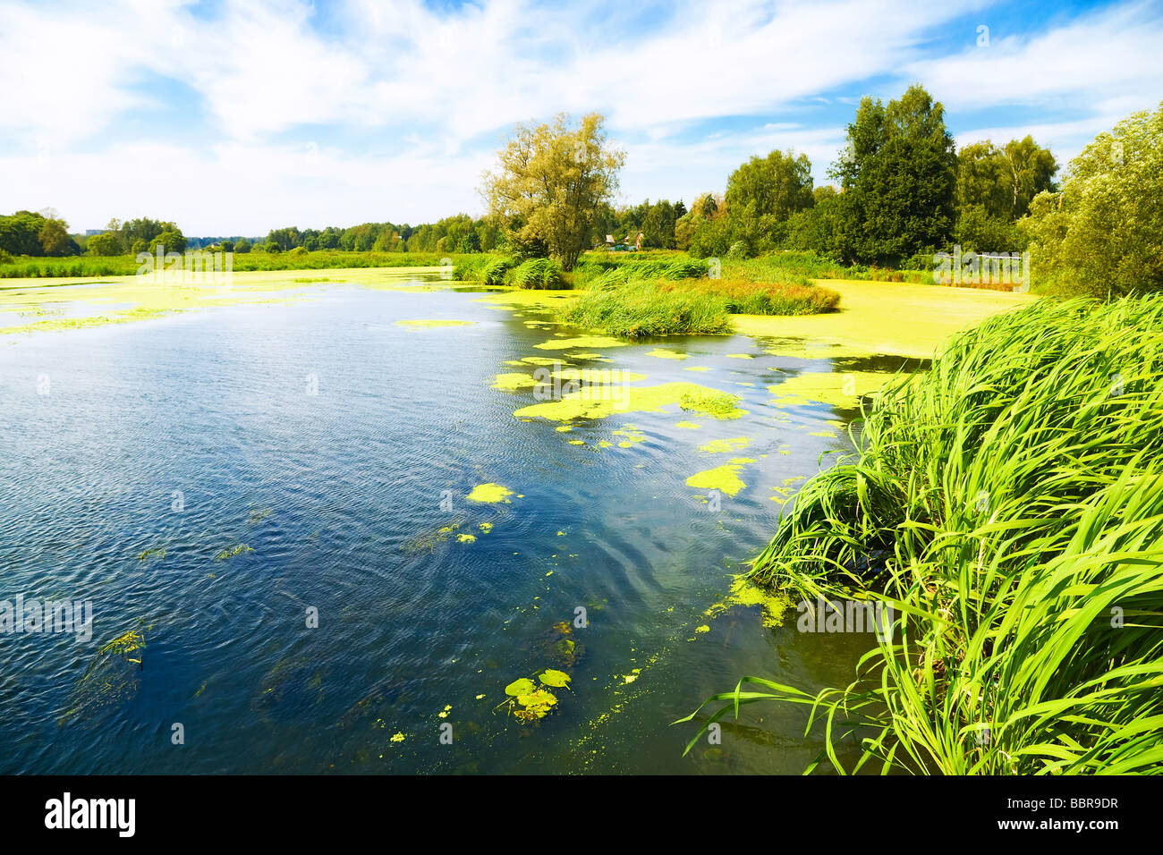 Sponda di un lago di un ampio angolo di visione Foto Stock