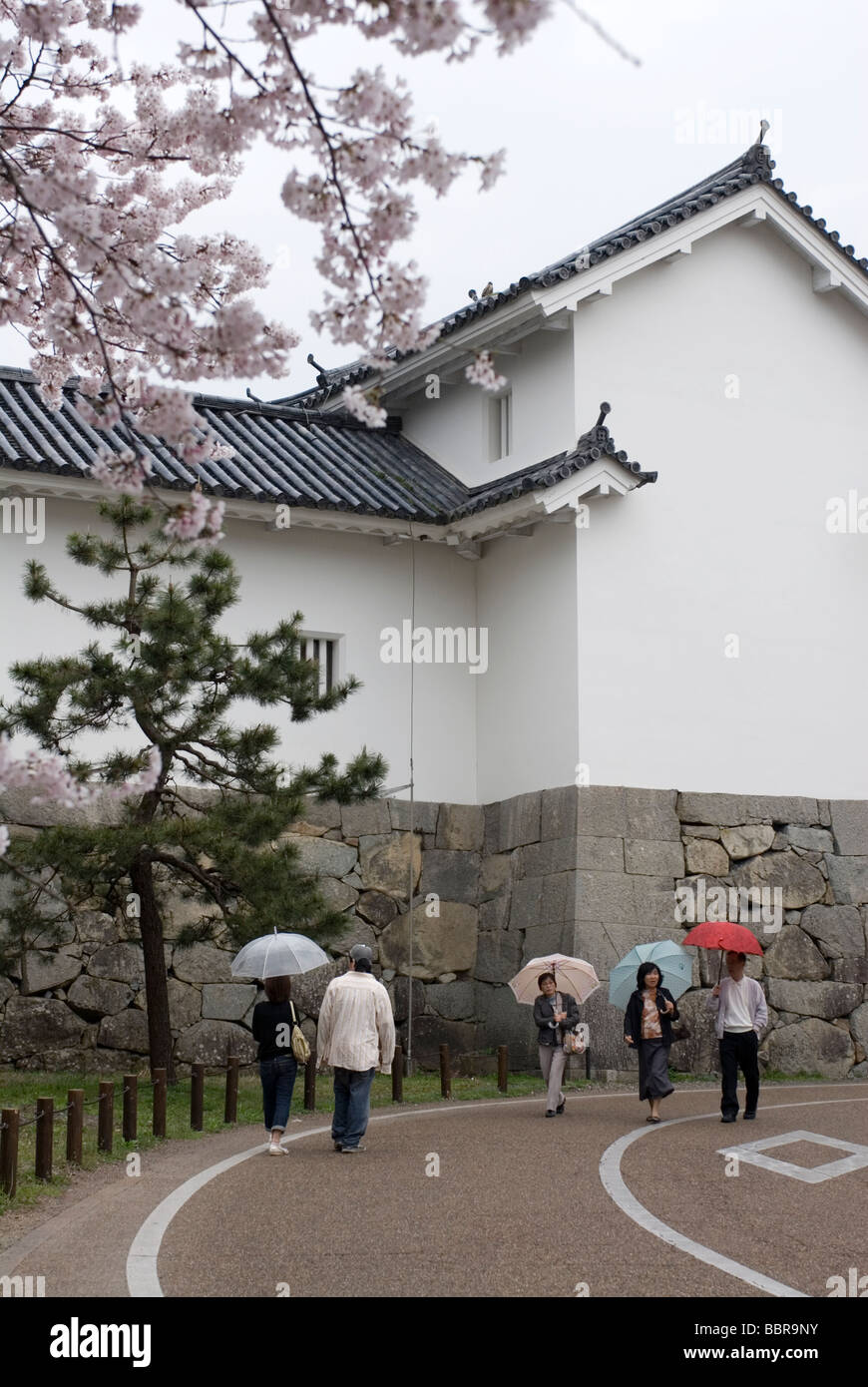 I visitatori di Hikone città nella prefettura di Shiga godendo la fioritura dei ciliegi nel parco del castello Foto Stock