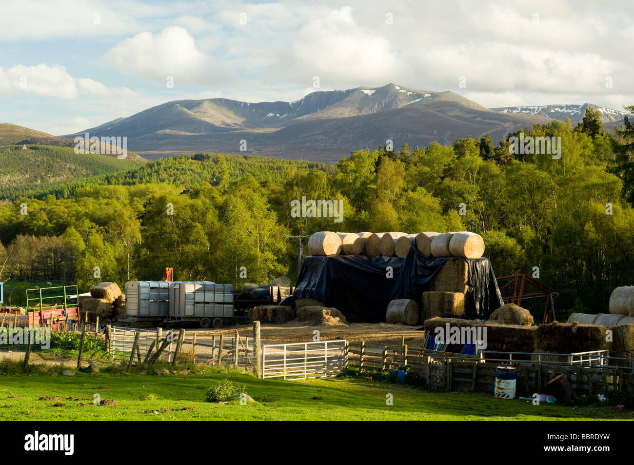 Lochnagar montagna, nei Cairngorms, passando al di sopra di una fattoria vicino a Crathie in Aberdeenshire. Foto Stock