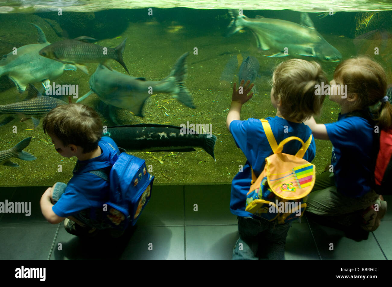 Bambini all'Acquario nel Giardino Zoologico di Zoologischer Garten, quartiere Tiergarten di Berlino Germania Foto Stock