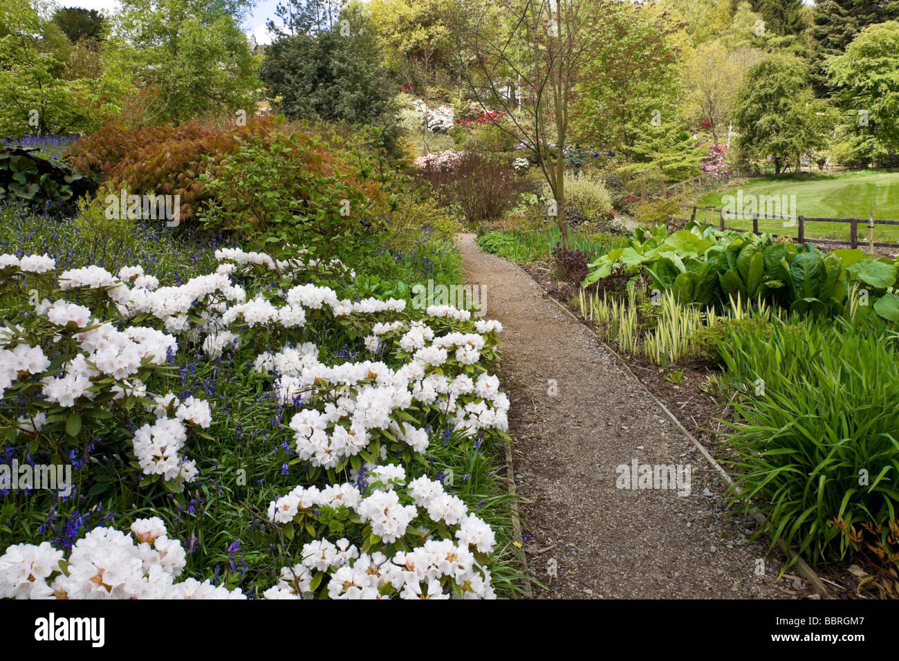 L'Himalayan giardino, vicino Grewelthorpe, North Yorkshire Foto Stock