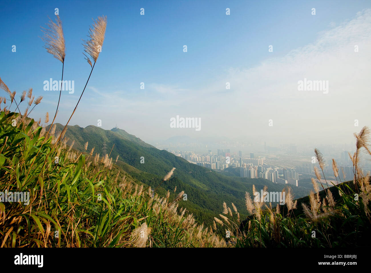 Picco di Kowloon, Hong Kong Foto Stock