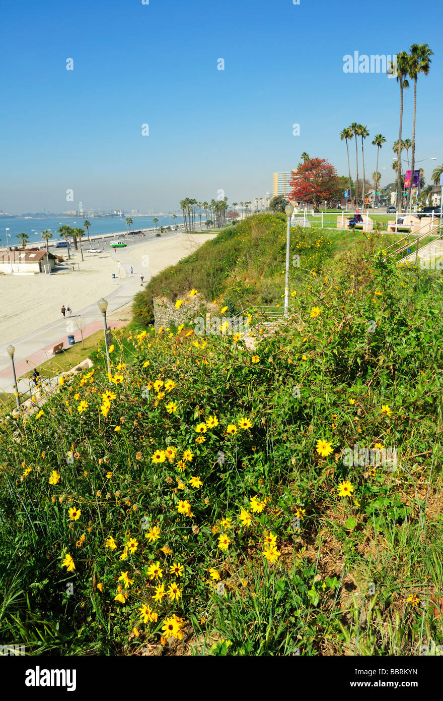Junipero e Alamitos Beach verso Grissom Island, Long Beach, California Foto Stock