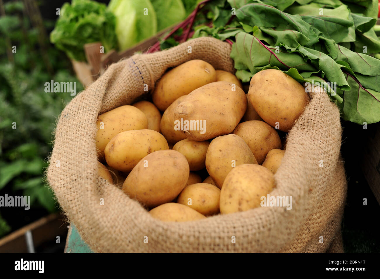 Le patate in un sacco Foto Stock