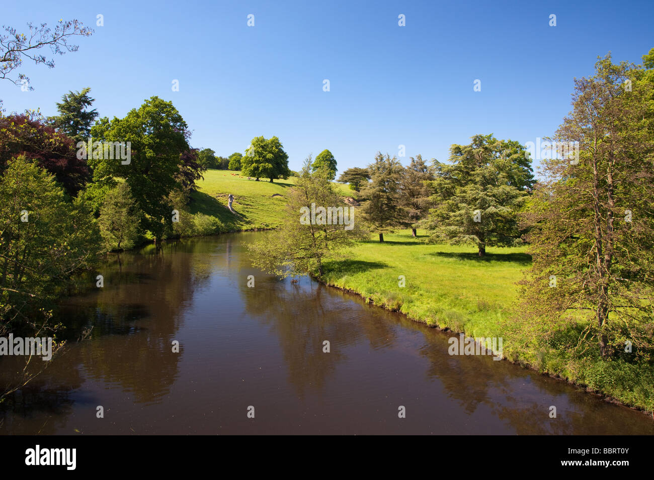 Clumber Park Nottinghamshire Foto Stock