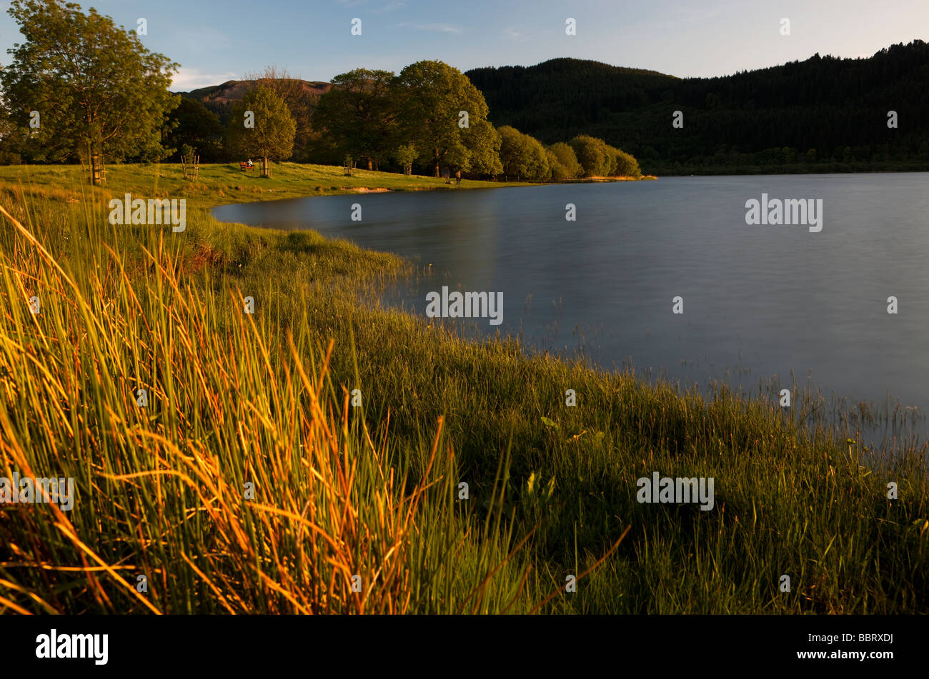 Bassenthwaite Lake, Lake District. Cumbria. In Inghilterra. Europa Foto Stock