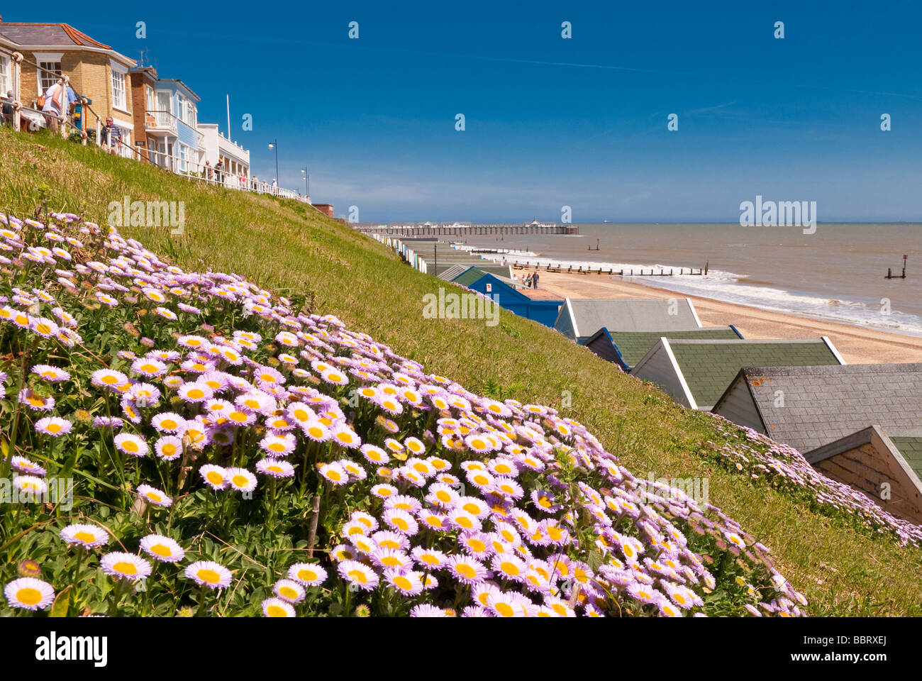 Una vista di Southwold lungomare in riva al mare con il molo in background e fiori in primo piano in primavera nel Regno Unito Foto Stock