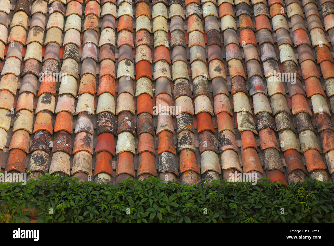 Il vecchio tetto di tegole Vezenobres Languedoc-Roussillon Francia Foto Stock