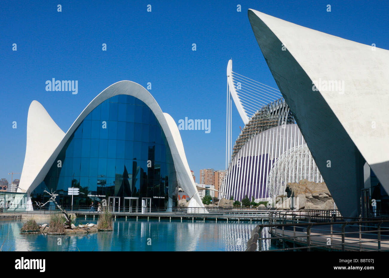 Progettato da Calatrava,L'Oceanografic di Valencia, la Città delle Arti e delle Scienze è una straordinaria collezione di moderni architectiure Foto Stock
