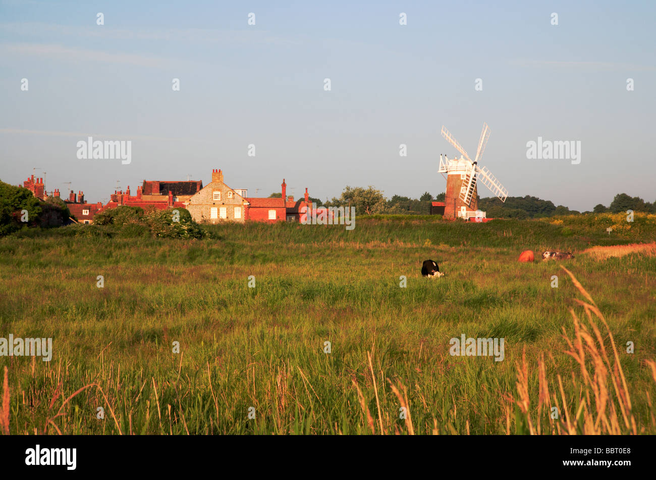 Il Pascolo di palude e di bestiame al Cley accanto al mare, Norfolk, Regno Unito, con mulino Cley in background. Foto Stock