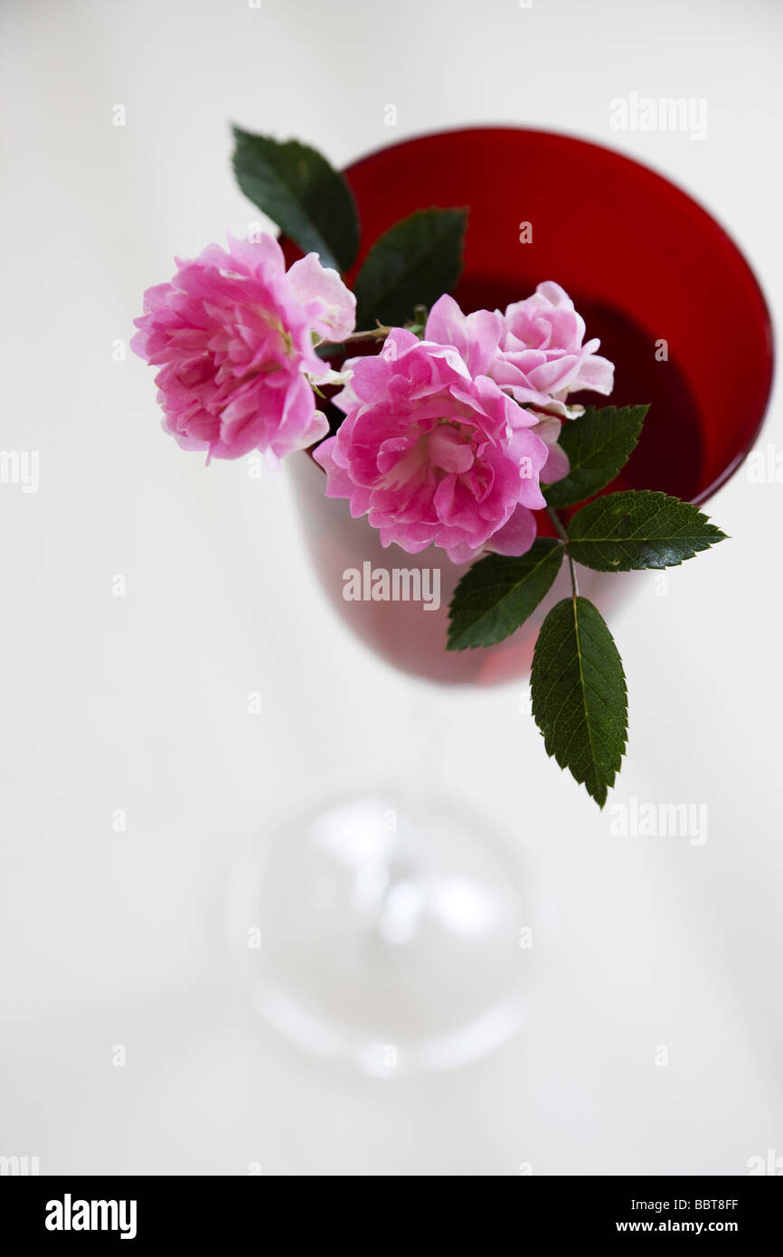 Peonie rosa decorate in vetro Foto Stock