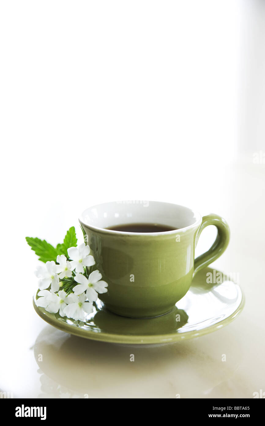 Tazza di tè alle erbe con fiori di colore bianco Foto Stock