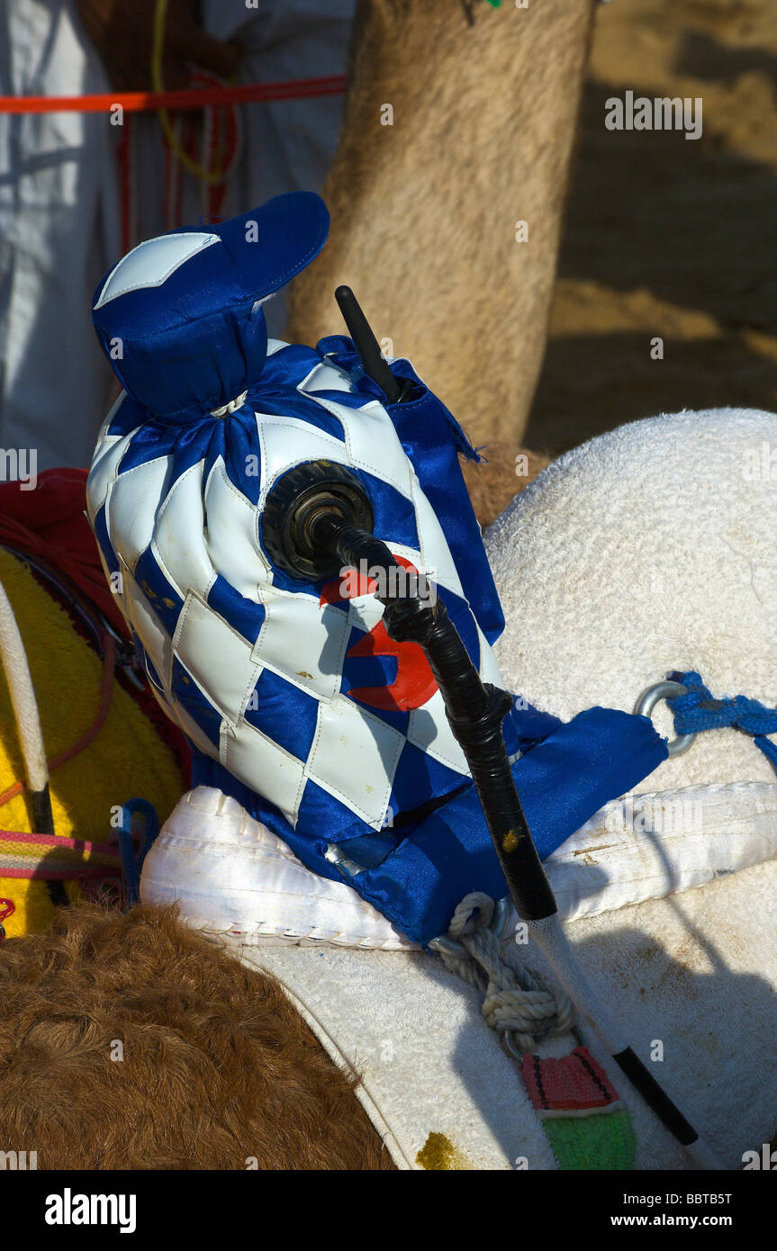 Dubai Camel racing con robot fantino Foto Stock