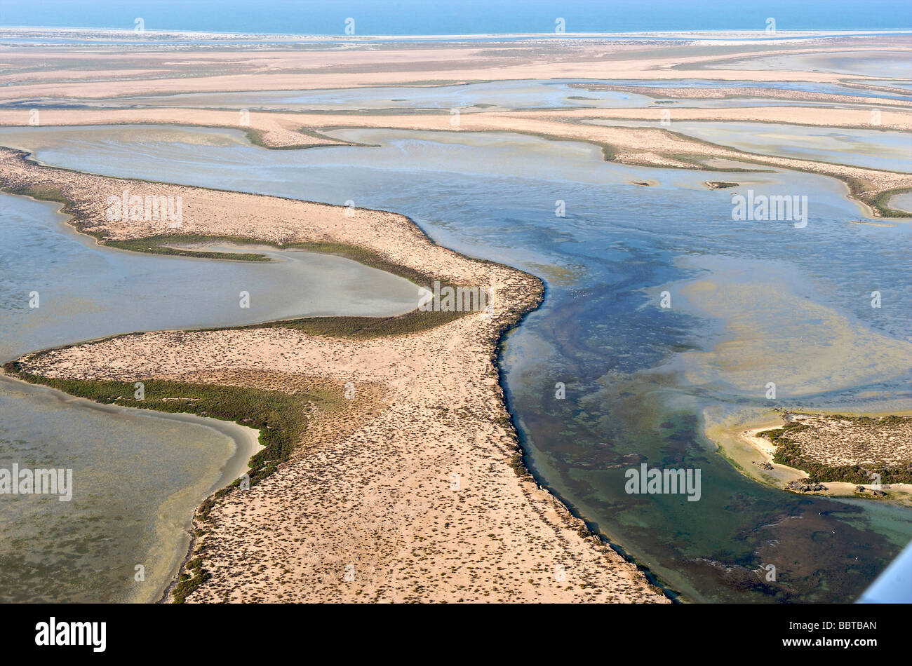 Emirati Arabi Uniti la zona umida del litorale di Umm al Quain Foto Stock