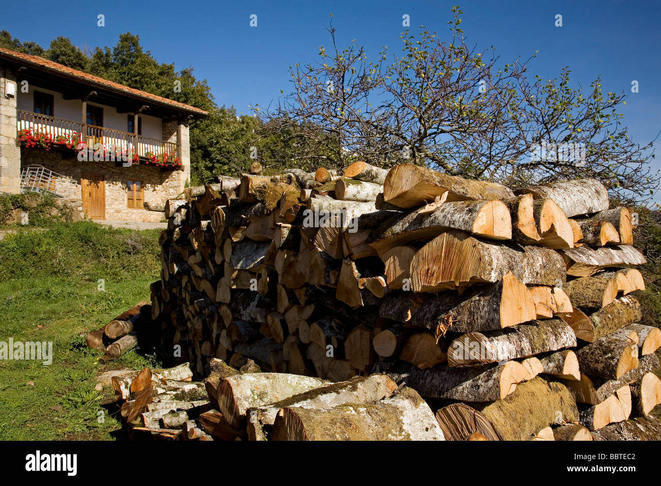 Legna da ardere in una casa rurale nel villaggio di Mogrovejo Shire di Liebana Picos de Europa Cantabria Spagna Foto Stock