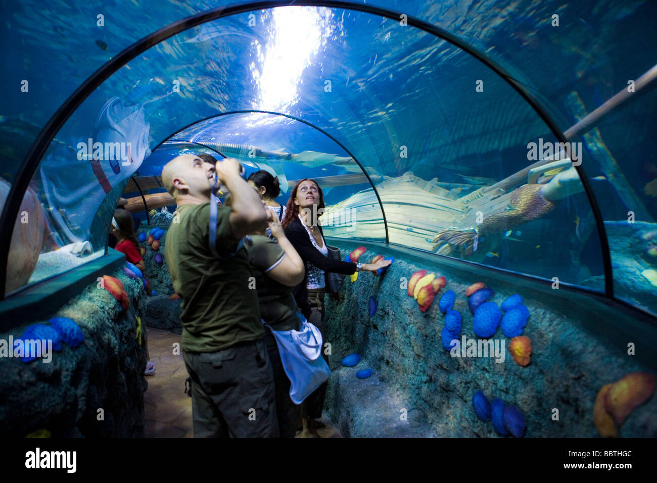 Gardaland Sea Life Aquarium, Castelnuovo del Garda, Veneto, Italia Foto  stock - Alamy