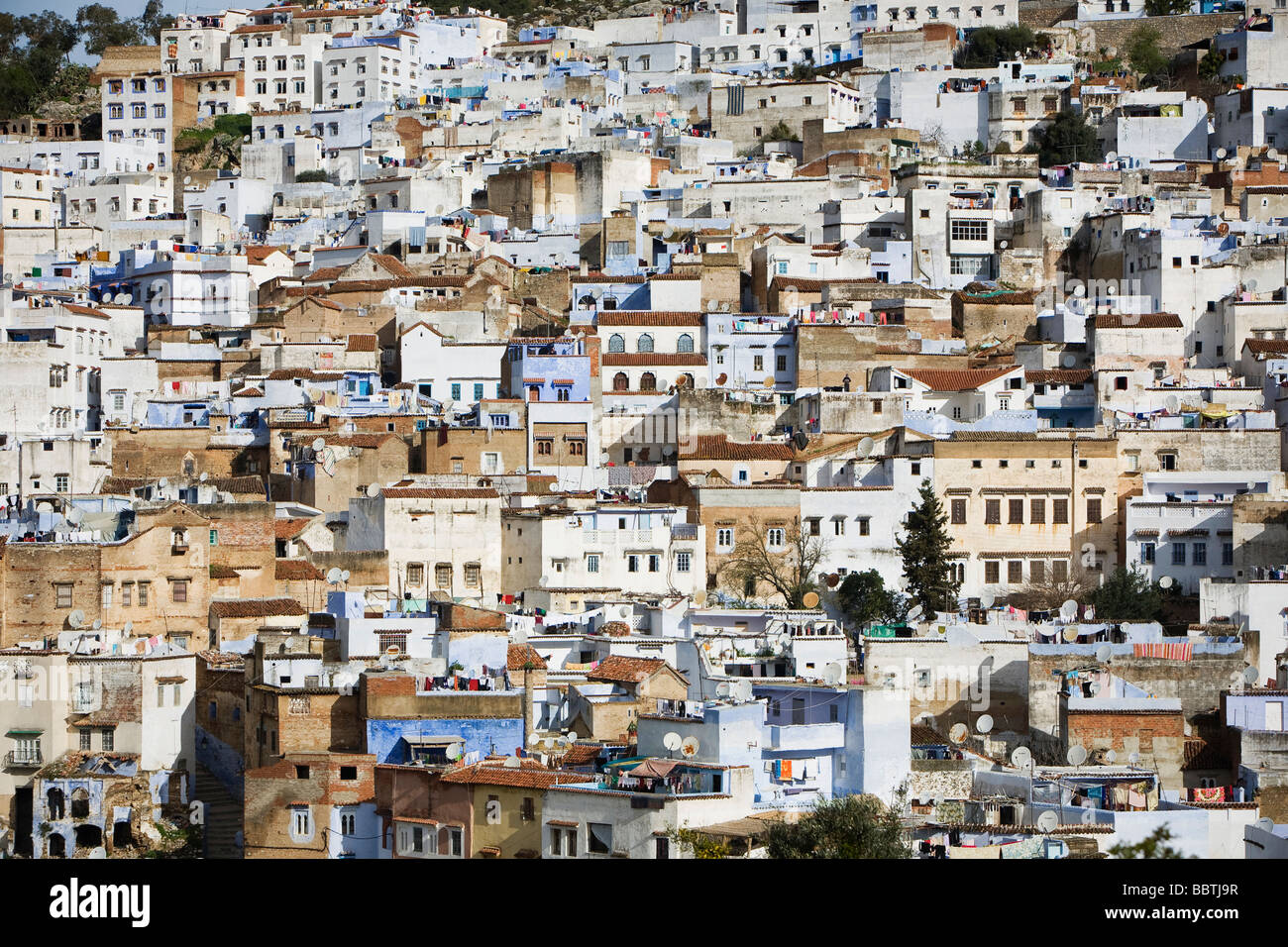 Vista di Chefchaouen, Marocco, Africa del Nord Foto Stock