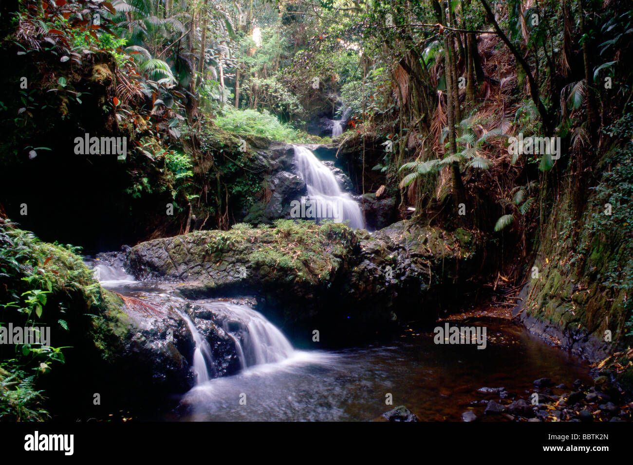 Iao Valley, isola di Maui, Hawaii, Stati Uniti d'America, America del Nord Foto Stock