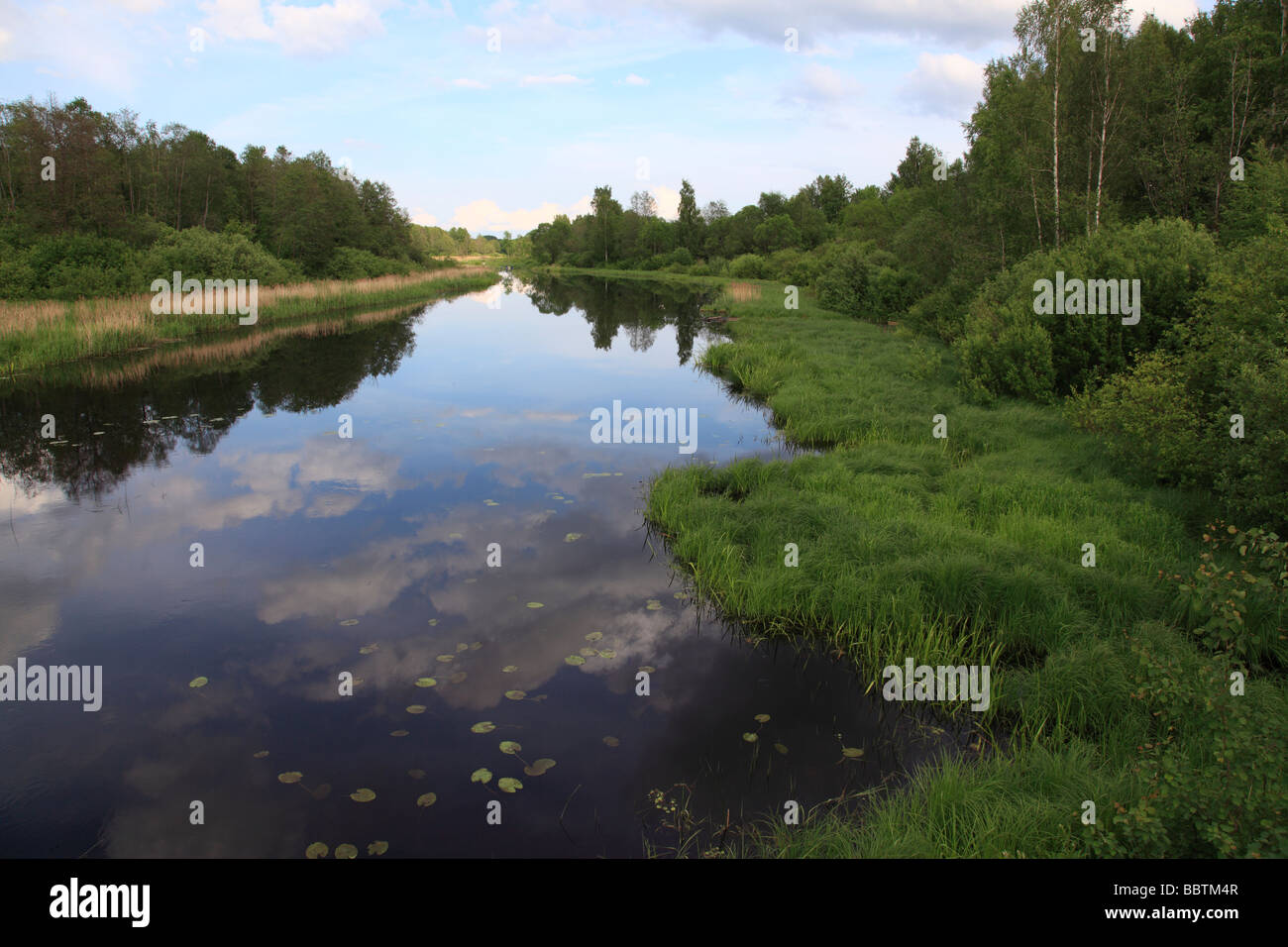 River a Soomaa National Park, Estonia, nazione del Baltico, l'Europa orientale. Foto di Willy Matheisl Foto Stock