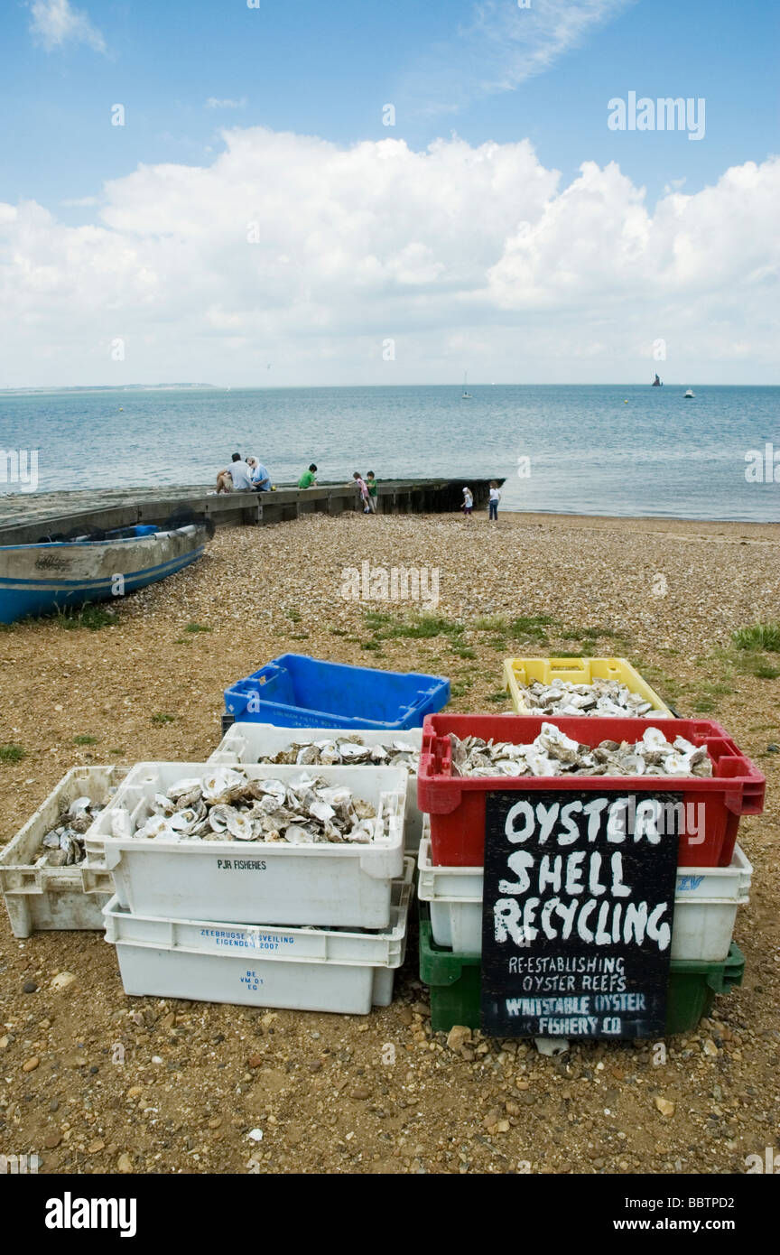 Oyster gusci per il riciclaggio sulla spiaggia a Whitstable, Inghilterra Foto Stock