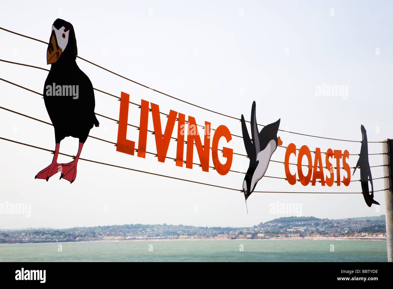 Living Coasts segno Torquay Devon England Foto Stock