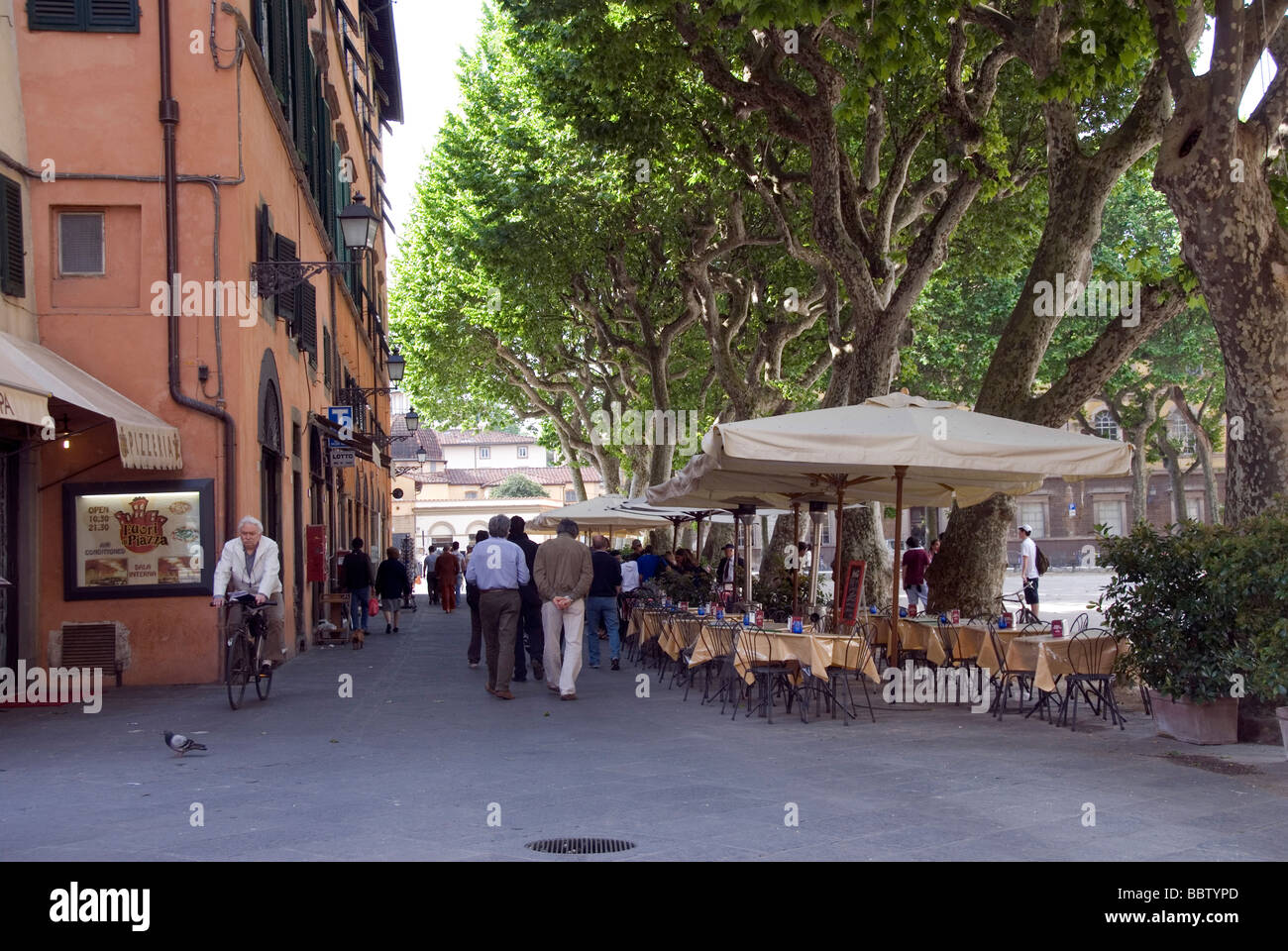 Piazza Napoleone Lucca Foto Stock