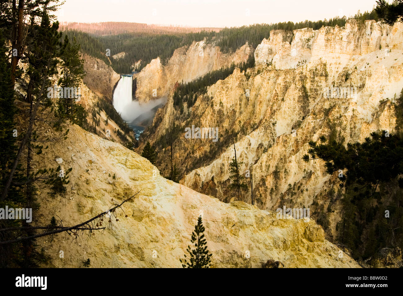 Le cascate Inferiori di Yellowstone River Foto Stock