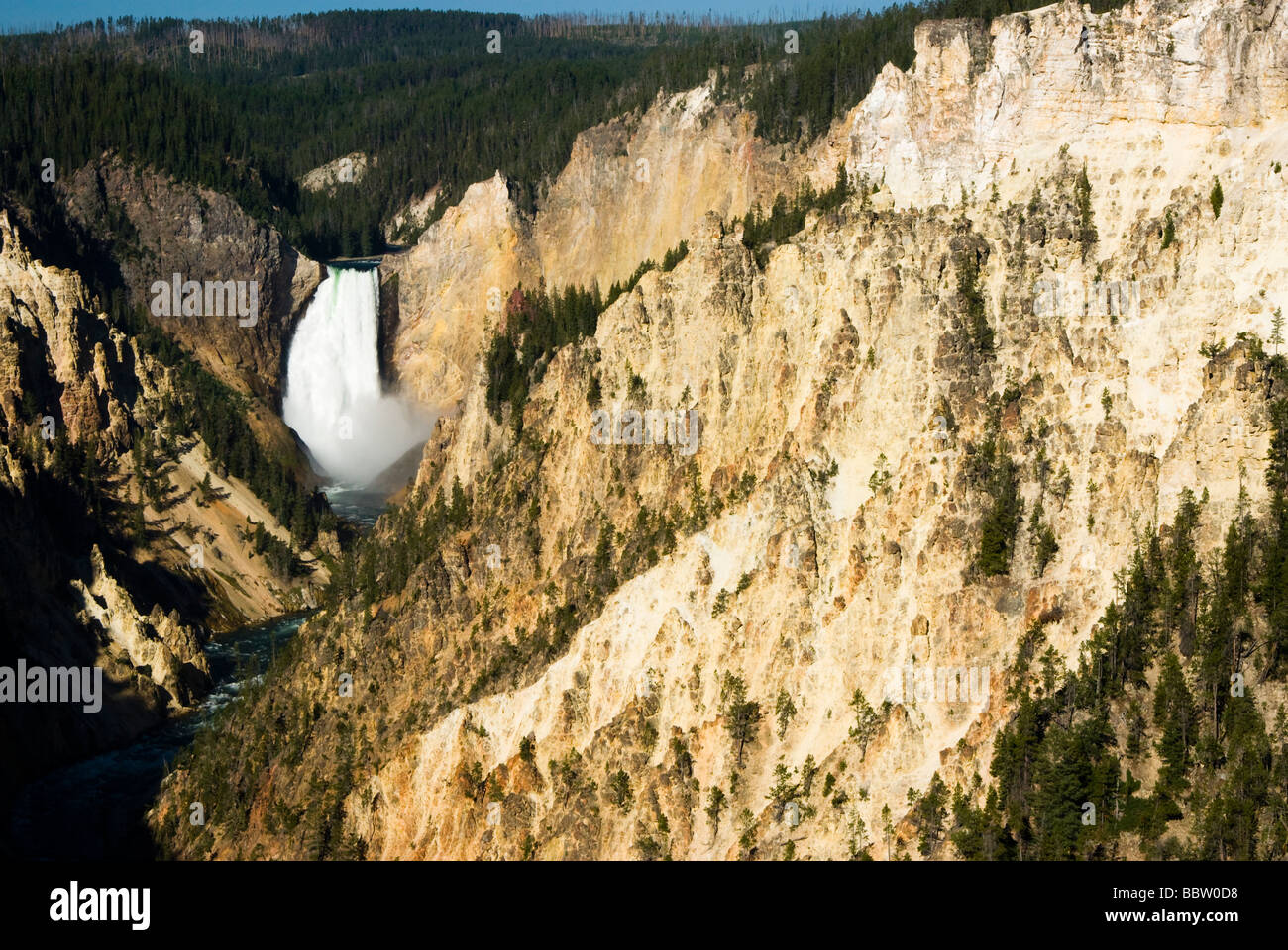 Le cascate Inferiori di Yellowstone River Foto Stock