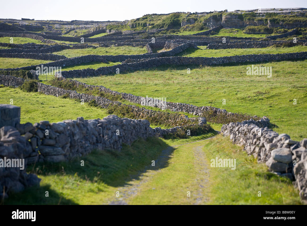 Vicolo del paese e muri in pietra a secco. Numerose silicea pareti di roccia contrassegnare le aziende di piccole dimensioni e confini che caratterizzano Inishmore. Foto Stock