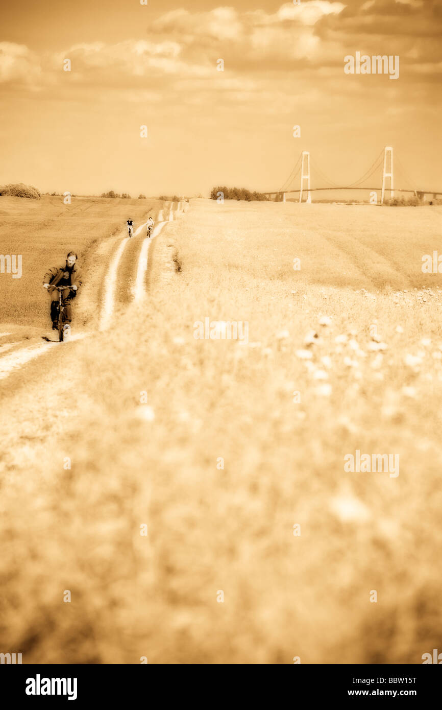 Il lungo tragitto con candelette. I ciclisti di " commuters " prendere un percorso sterrato attraverso un campo di papaveri da il grande ponte della cinghia Foto Stock