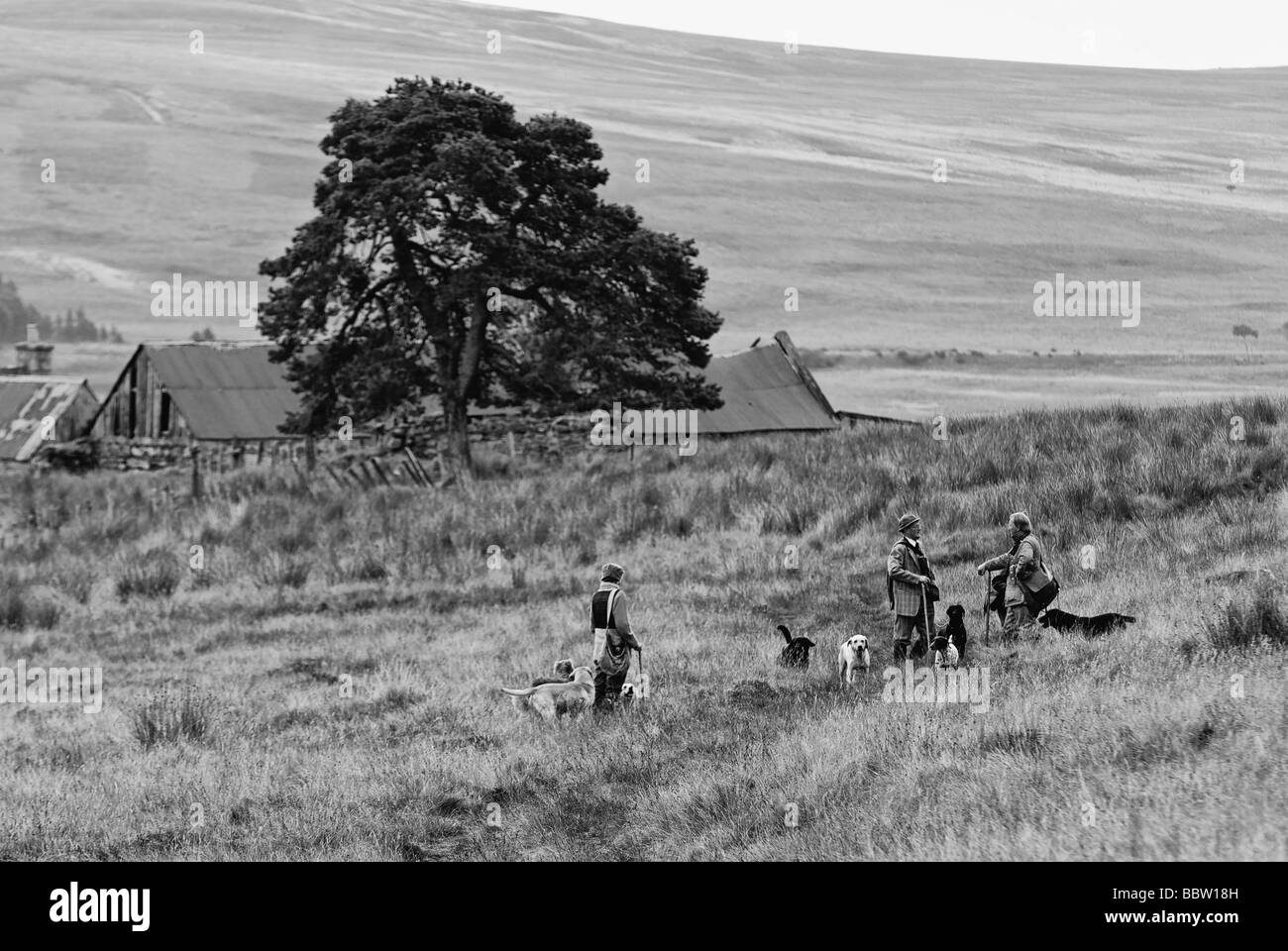 Cani e Game Keeper parlando su un scozzese Moor dopo una condotta Red Grouse sparare vicino a Aviemore Scozia Scotland Foto Stock