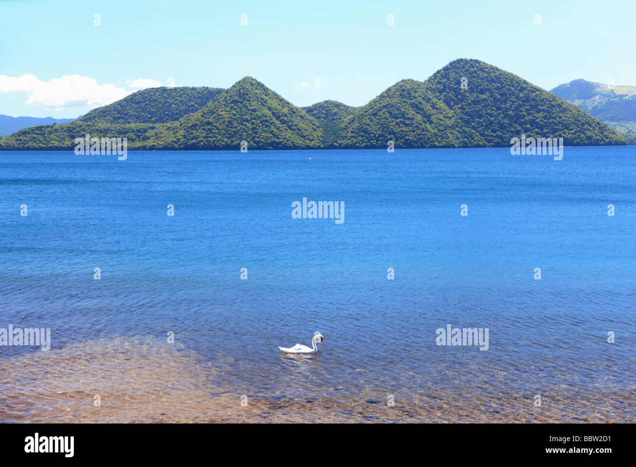 Anatra in acqua di lago con le montagne alle spalle Foto Stock