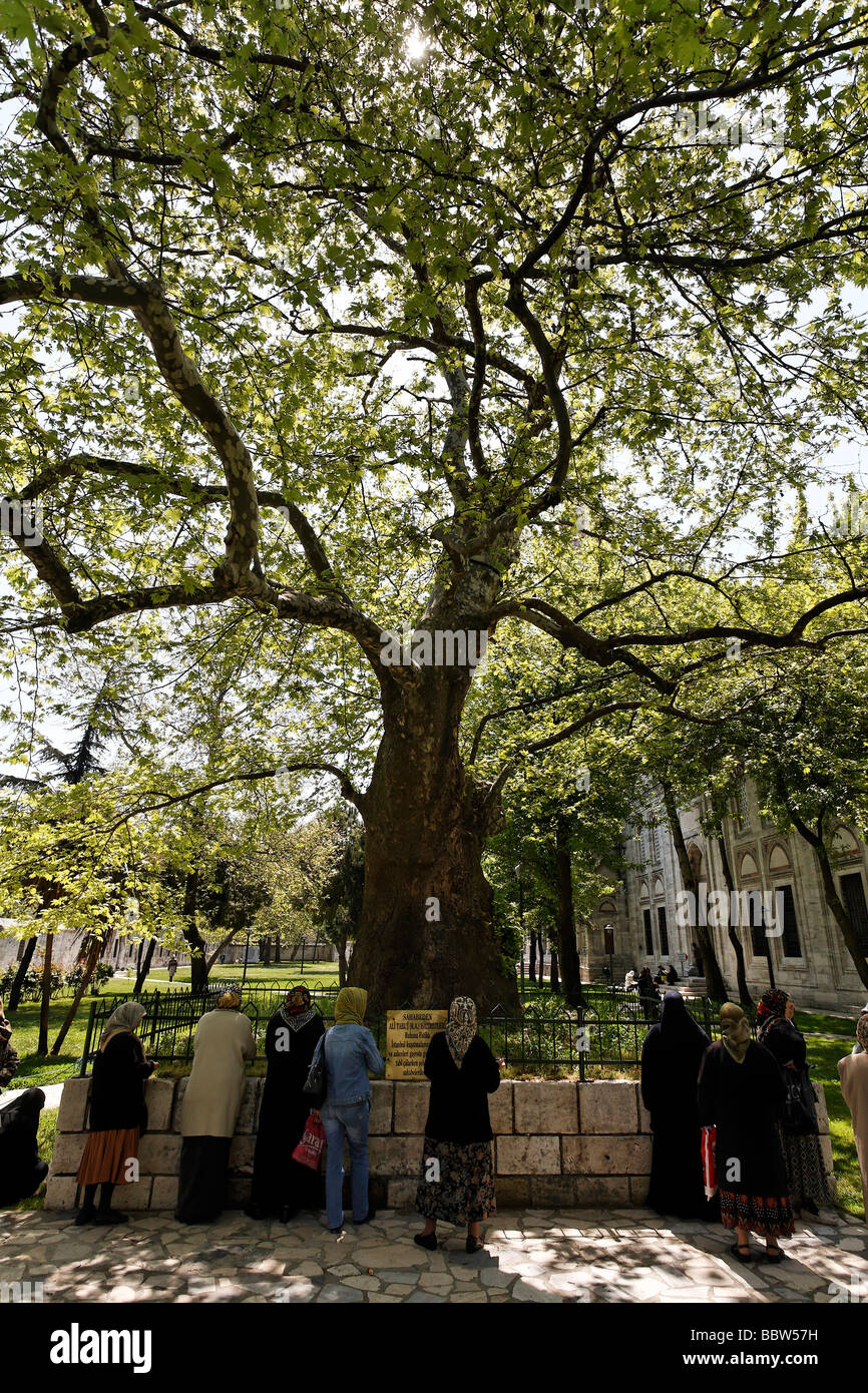Le donne, Muslima, pregando in una tomba sotto un albero possente, Principe moschea Sehzade Camii, Istanbul, Turchia Foto Stock