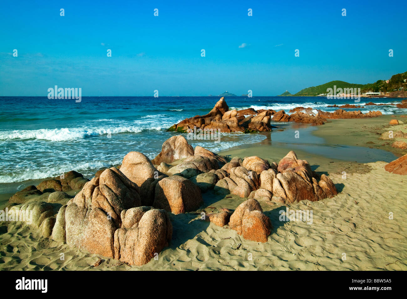 Spiaggia di scudo Corsica Francia Foto Stock