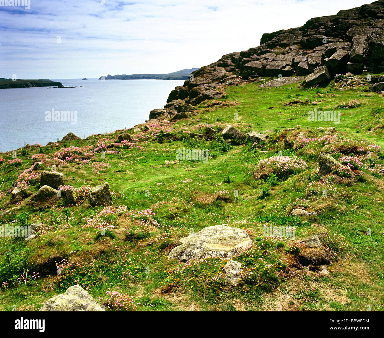 St. Saint Davids Head, Coetan Arthur Ruined Hut Circle la comunità preistorica viveva qui coltivata e pescata. Ramsey Island in lontananza. Galles Regno Unito Foto Stock