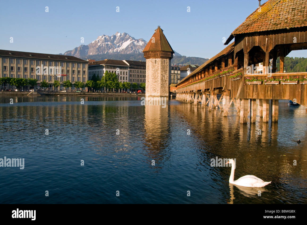Kapell ponte sul fiume Reuss e Water Tower, Lucerna svizzera Foto Stock