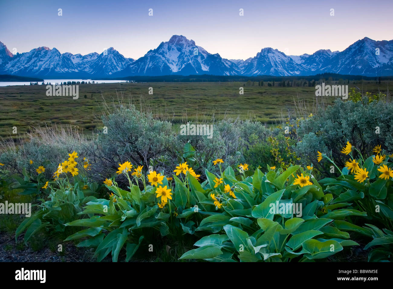 Montagne innevate a sunrise nel Parco Nazionale di Grand Teton in Wyoming Foto Stock