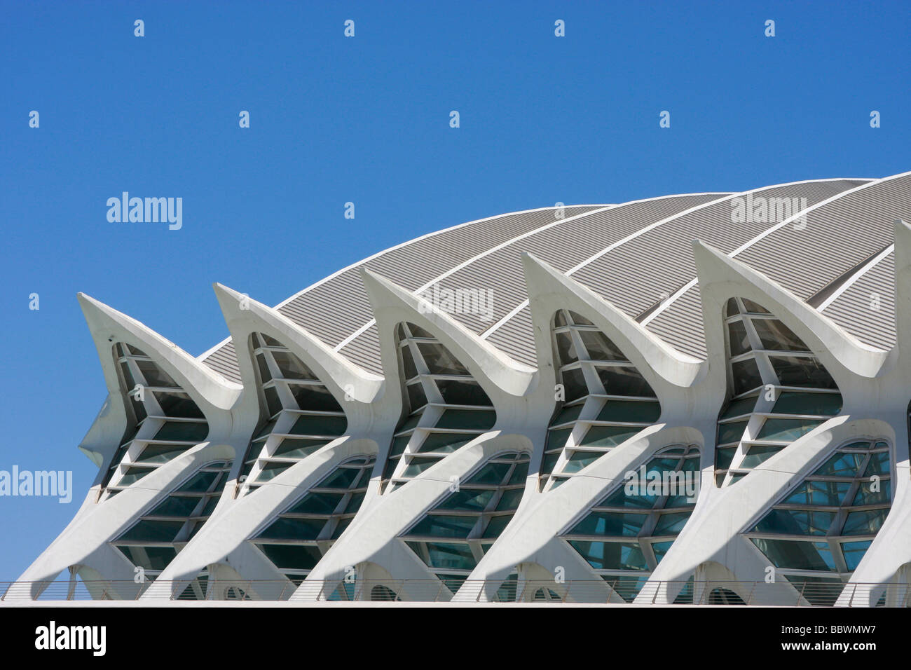 Progettato da Santiago Calatrava,Valencia, la Città delle Arti e delle Scienze è una straordinaria collezione di architettura moderna Foto Stock