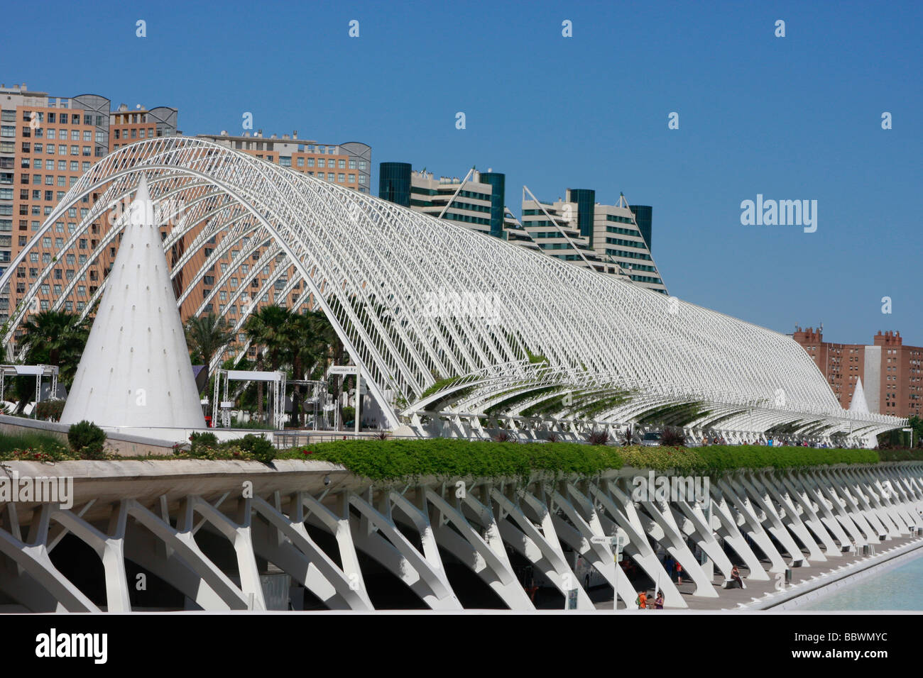 Progettato da Santiago Calatrava,Valencia, la Città delle Arti e delle Scienze è una straordinaria collezione di architettura moderna Foto Stock